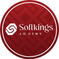 Softkings Academy logo - Similar company to Softkings It Solutions