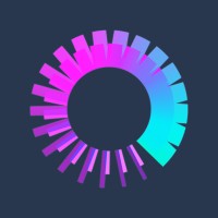 novictus logo - Similar company to Intodata Nederland