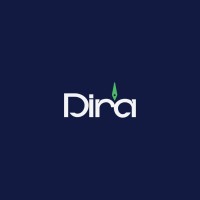 Dira Labs logo - Similar company to Devsolutely