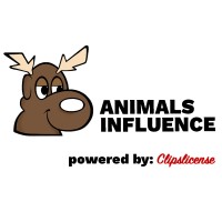ANIMALS INFLUENCE logo - Similar company to Animals & Co.