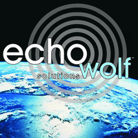 EchoWolf Solutions logo - Similar company to Evs Pro