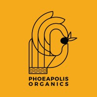 PHOEAPOLIS ORGANICS logo - Similar company to Squared  Up Ledgers