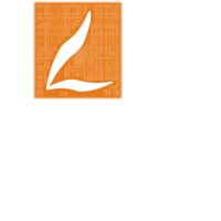 Liberty India logo - Similar company to Vipaudit • ვიპაუდიტი