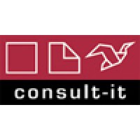consult-it logo - Similar company to D-Studio