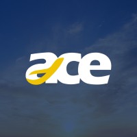 Ace Fly Air logo - Similar company to Fly Again Later