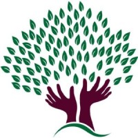 Coryne Forest Llc