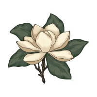 Magnolia Grove Design & Cabinetry logo - Similar company to Syntax Design Lab