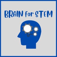 BRAIN for STEM logo - Similar company to Brain Stem