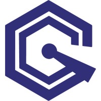 CG Silvers Consulting logo - Similar company to Cybernines®