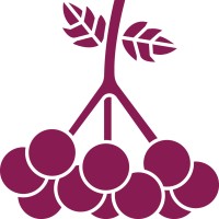 Kalynonka logo - Similar company to Flatfrog