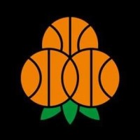 KFUM Umeå BSKT logo - Similar company to Kfum Umeå