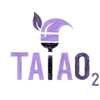 Taiao logo - Similar company to Altrefiamme