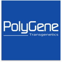PolyGene AG logo - Similar company to Biosense Quantum