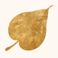 Madiluu Birth Centre logo - Similar company to Femfirst