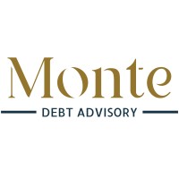 Monte Debt Advisory logo - Similar company to I-Rui