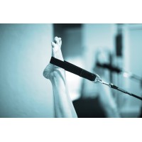 Pilates Zone Erica Essner logo - Similar company to Bk Pilates