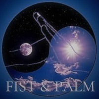 Fist and Palm logo - Similar company to Rhythm Engineering Bulgaria