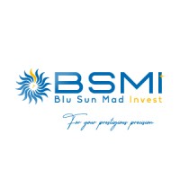 Blu Sun Mad Invest logo - Similar company to Mecatools Mp, C.A.