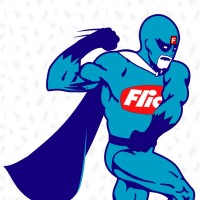 Flick Pest Control KZN logo - Similar company to Mg Electrical