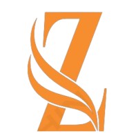 Zonesolvera logo - Similar company to Computa 360