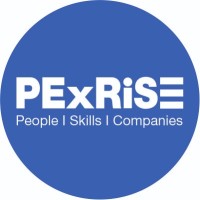 Pexrise logo - Similar company to Ss Consultancy Services