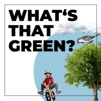 What's that green? logo - Similar company to Physi
