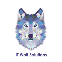 IT Wolf Solutions logo - Similar company to Kolohsoft