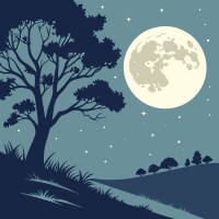 Moonlight Labs logo - Similar company to Droidtribe