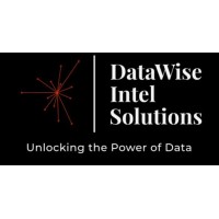 DataWise Intel Solutions LLC logo - Similar company to Texas Action