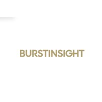 Burstinsight logo - Similar company to Research Den