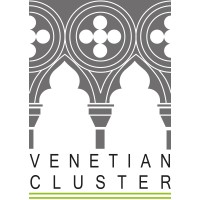 Venetian Cluster logo - Similar company to Save Venice, Inc.