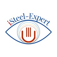 iSteel-Expert logo - Similar company to Greenheateaf Project
