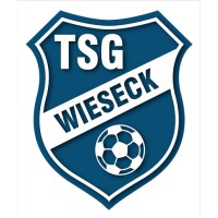 TSG Wieseck - JugendFörderzentrum logo - Similar company to White Lion Performance