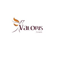 VALORIS CONSEILS logo - Similar company to Concept360°
