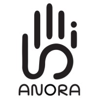 Anoris Technology logo - Similar company to Bemika Group