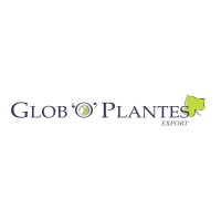 Glob'O'Plantes Export B.V. logo - Similar company to Origine1