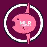 MLR Analytics logo - Similar company to Talentus
