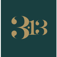 Three Thirteen Limited logo - Similar company to Transistor