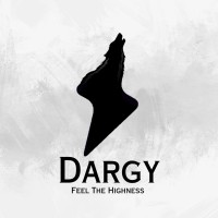 Dark Synergy logo - Similar company to Guide Mortgages