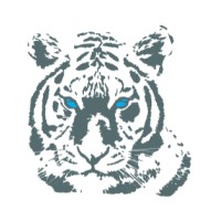 Tiger Design - Leading Provider of IoT Hardware & Software logo - Similar company to Tiger Software Systems