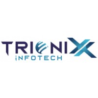 Trionix Infotech - Web Development & Internet Marketing Agency logo - Similar company to Trionix