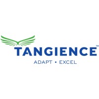 Tangience Designs Consulting Inc., logo - Similar company to Scandesignz