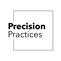 Precision Practices logo - Similar company to Ravenswood Technology Group