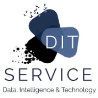 DITSERVICE logo - Similar company to Drone Parc