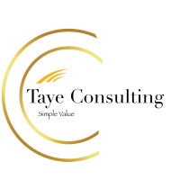 Taye Consulting LTD logo - Similar company to Hippoline B.V. | Data- En Business Intelligence Specialist
