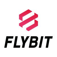 FLYBIT logo - Similar company to Bitsonic