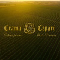 Crama Cepari logo - Similar company to Rmg Security