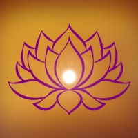 Workout Around My Day, Inc. logo - Similar company to Silaca Properties