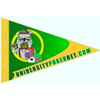 Online Gaming Research Project