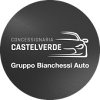 Land Rover Bianchessi Auto logo - Similar company to Bianchessi Auto